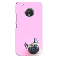 Бампер для Motorola Moto G5 Plus с картинкой "Песики" – Собака на розовом