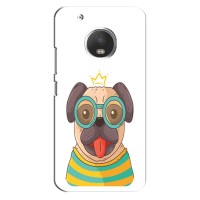 Бампер для Motorola Moto G5 Plus с картинкой "Песики" (Собака Король)