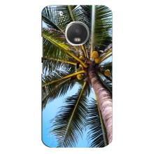 Силиконовый чехол с КАРТИНКАМИ лето для Motorola MOTO G5 Plus (AlphaPrint) (Пальма)