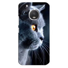 Чохли з Котиками для Motorola MOTO G5 (VPrint) (Сірий Кіт)