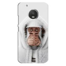 Чохли з Мавпами NFT для Motorola MOTO G5 (AlphaPrint) – мавпа NFT в тату