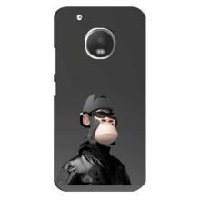 Чохли з Мавпами NFT для Motorola MOTO G5 (AlphaPrint) – стильна мавпа NFT