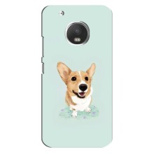 Чехлы с собаками для Motorola MOTO G5 (VPrint) (Корги)