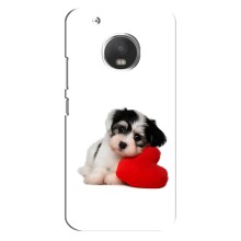 Чехлы с собаками для Motorola MOTO G5 (VPrint) (Песик)