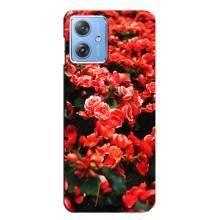 Чехлы с Цветами для Motorola MOTO G54 / G54 Power (VPrint) (Цветы красные)