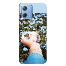 Чехлы с изображением разных животных для Motorola MOTO G54 / G54 Power (Ежик на руках)