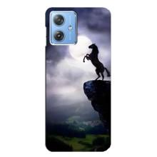 Чехлы с изображением разных животных для Motorola MOTO G54 / G54 Power (Лошадь)