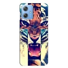 Чехлы с изображением разных животных для Motorola MOTO G54 / G54 Power (Яркий Тигр)