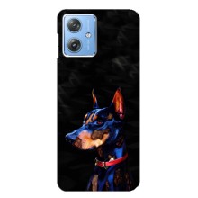 Чехлы с картинками животных Motorola MOTO G54 / G54 Power (Собака)
