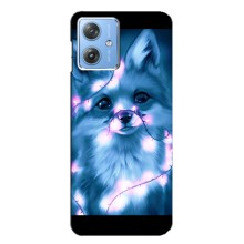 Чехлы с картинкой Лисички для Motorola MOTO G54 / G54 Power (VPrint) (Яркая лисичка)