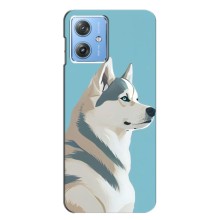 Чехол с Хаски для Motorola MOTO G54 / G54 Power - (AlphaPrint) (Хаски арт)