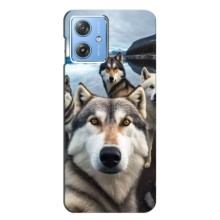 Чехол с Хаски для Motorola MOTO G54 / G54 Power - (AlphaPrint) (Селфи ХАски)