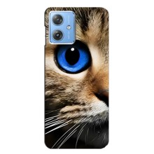 Чехлы с Котиками для Motorola MOTO G54 / G54 Power (VPrint) (Глаз кота)