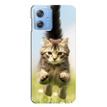 Чехлы с Котиками для Motorola MOTO G54 / G54 Power (VPrint) (Прыжок кота)