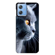 Чехлы с Котиками для Motorola MOTO G54 / G54 Power (VPrint) (Серый Кот)