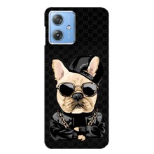 Чехлы с крутыми принтами для Motorola MOTO G54 / G54 Power - (PREMIUMPrint) (Стильная собака)