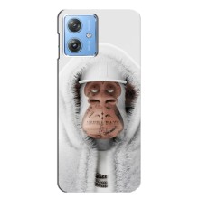 Чохли з Мавпами NFT для Motorola MOTO G54 / G54 Power (AlphaPrint) (мавпа NFT в тату)