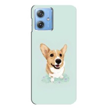 Чехлы с собаками для Motorola MOTO G54 / G54 Power (VPrint) (Корги)