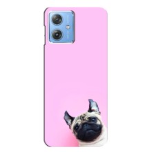 Чехлы с собаками для Motorola MOTO G54 / G54 Power (VPrint) (Смешная собака)