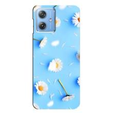 Чехол с Цветами для Motorola MOTO G54 / G54 Power (ромашки на голубом)