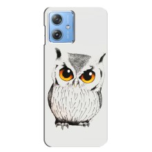 Чехол с птицами на Motorola MOTO G54 / G54 Power (VPrint) (Милая Сова)