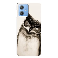 Чехол с птицами на Motorola MOTO G54 / G54 Power (VPrint) (Сова)