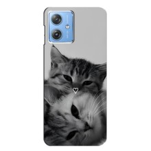 Чехол с рисунком кот на Motorola MOTO G54 / G54 Power (Пара котов)