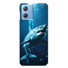 Чехол с картинкой «Хищники» для Motorola MOTO G54 / G54 Power – Акула