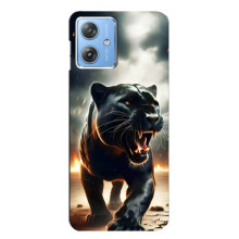 Чехол с картинкой «Хищники» для Motorola MOTO G54 / G54 Power – Пантера