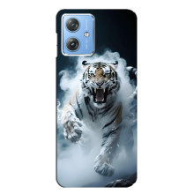 Чехол с картинкой «Хищники» для Motorola MOTO G54 / G54 Power – Тигр