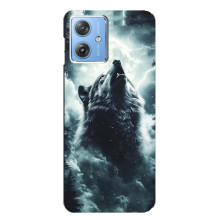 Чехол с картинкой «Хищники» для Motorola MOTO G54 / G54 Power