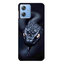 Чехол с картинкой «Хищники» для Motorola MOTO G54 / G54 Power – Змея