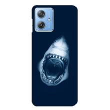 Силиконовый бампер с картинкой животных для Motorola MOTO G54 / G54 Power (Пасть Акулы)