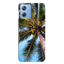 Силіконовий чохол з КАРТИНКАМИ літо для Motorola MOTO G54 / G54 Power (AlphaPrint) (Пальма)