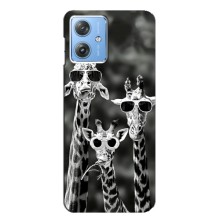 Силіконовий чохол з КАРТИНКАМИ літо для Motorola MOTO G54 / G54 Power (AlphaPrint) (Жирафи в окулярах)