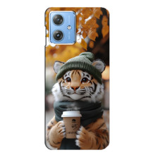 Печатный чехол «Зверята с кофе» для Motorola MOTO G54 / G54 Power – Тигр с кофе