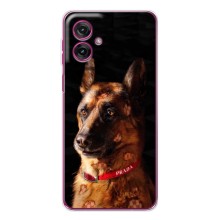 Чохли з картинкою животних Motorola Moto G55 (Овчарка)