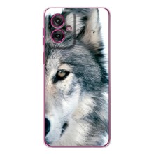 Чохли з картинкою животних Motorola Moto G55 (Вовк)