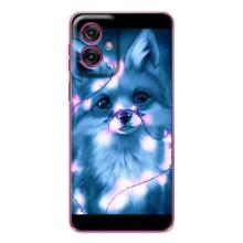 Чохли з картинкою Лисичка для Motorola Moto G55 (VPrint) (Яскрава лисичка)