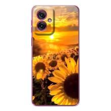 Чехол с Цветами для Motorola Moto G55 (поле подсолнухов)