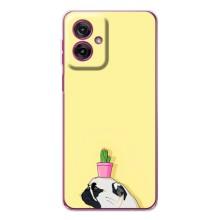 Бампер для Motorola Moto G55 с картинкой "Песики" (Кактус на голове)