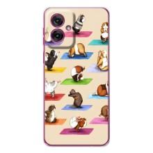 Чехол с Прикольным принтом на Motorola Moto G55 (Ёга свинок)