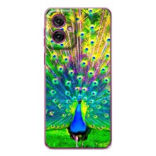 Чохол з пташками на Motorola Moto G55 (VPrint) (Яскравий Павлин)