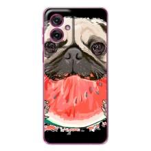 Чехол (ТПУ) Милые собачки для Motorola Moto G55 (Смешной Мопс)