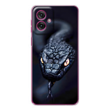 Чехол с картинкой «Хищники» для Motorola Moto G55 – Змея