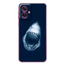 Силіконовий бампер з картинкою звірів для Motorola Moto G55 (Пащу Акули)