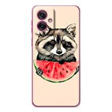 Силіконовий Чохол з Энотами  на Motorola Moto G55 – Єнот