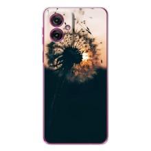 Силиконовый Чехол с одуванчиками на Motorola Moto G55 – Красивый одуванчик