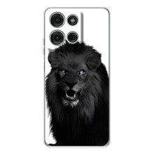 Чехлы с картинками животных Motorola MOTO G56 (Черный ЛЕВ)