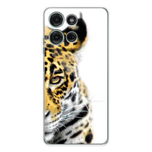 Чехлы с картинками животных Motorola MOTO G56 (Леопард)